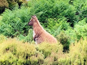 IMG_2303