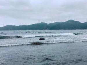 IMG_3021
