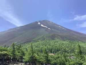 IMG_3203