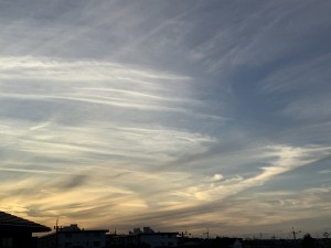 IMG_3316