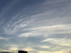 IMG_3317
