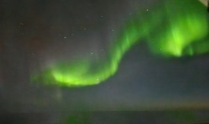 IMG_0471