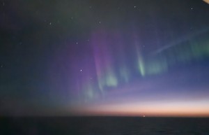 IMG_0474