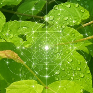 F39D16AB-4025-4FDD-AE63-A1D1037037DD