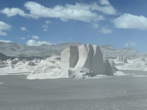 IMG_2772